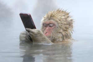 携帯猿